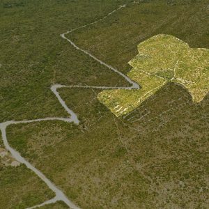 Wild beauty resort Žukovica