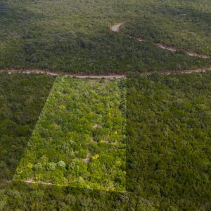 Land for sale in Kotor municipality