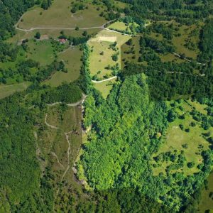 Land for sale in KolaÅ¡in municipality, âKolaÅ¡in Hillside Resortâ