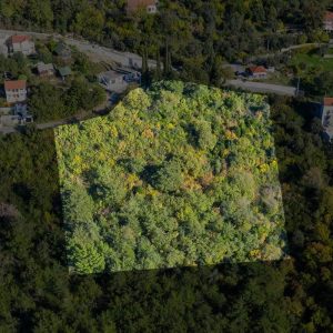 land for sale in Kavac Kotor municipality