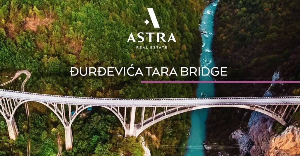 Djurdjevića Tara Bridge – one of the largest reinforced concrete road bridges in Europe