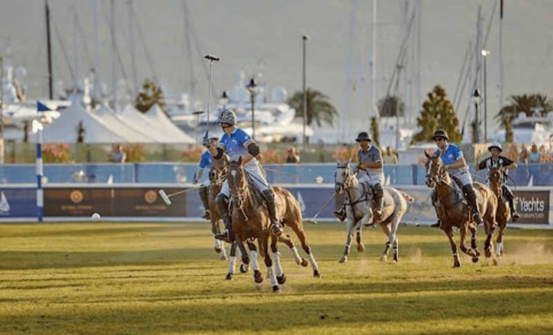 Polo in the port Montenegro