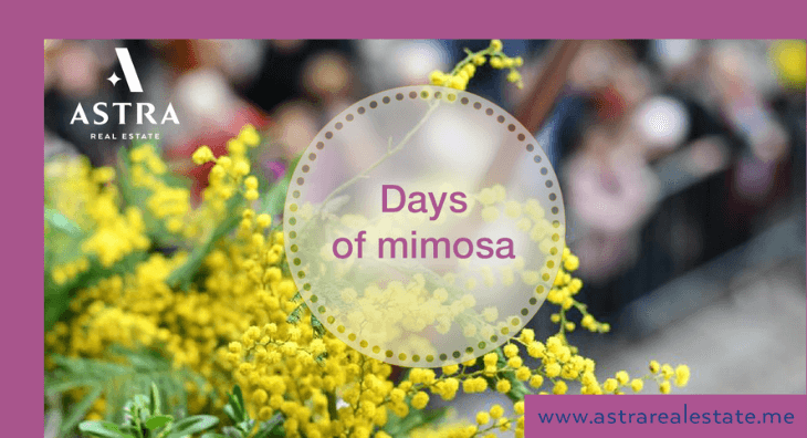 Mimosa Days Festival the Soul of Montenegro