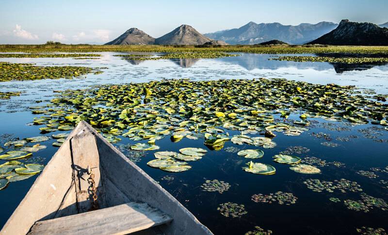 Day trips from Kotor Skadar lake Astra real estate Montenegro