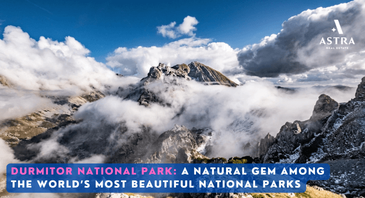 Durmitor National Park Why Montenegro is the Perfect Destination for Your Second Home