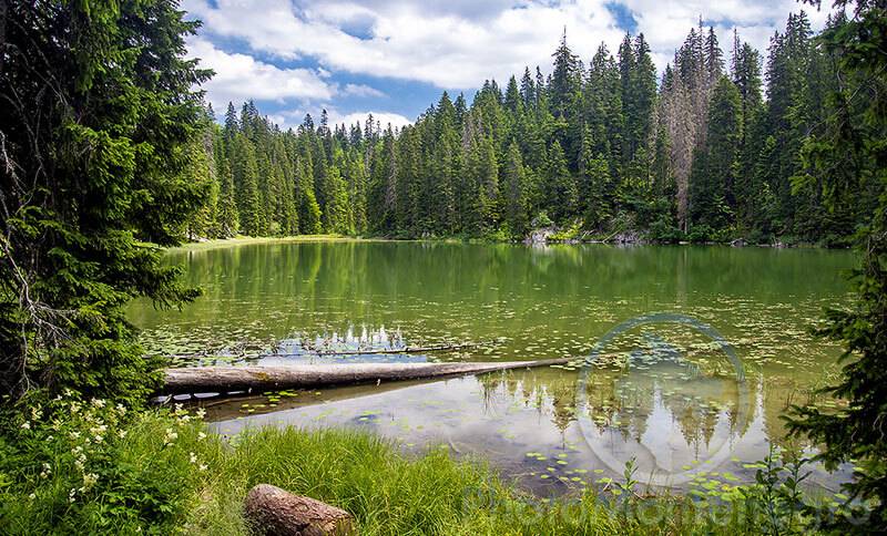 zminje-jezero-ivan-stojanovic-photomontenegro