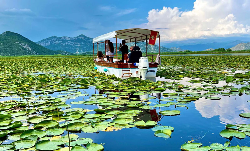 eco-friendly tours on skadar lake montenegro astra real estate