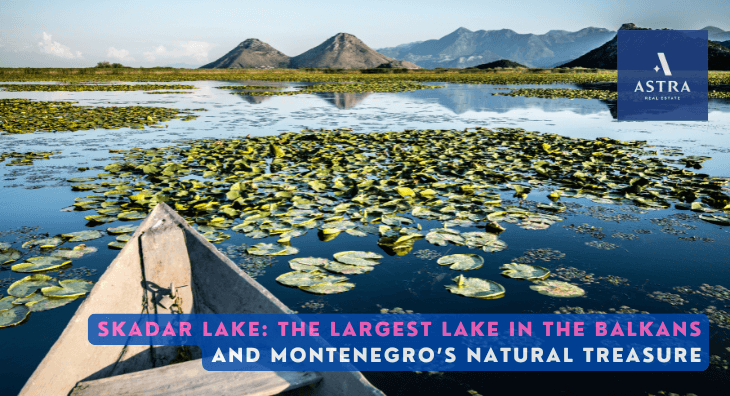 Skadar Lake: The Largest Lake in the Balkans and Montenegro’s Natural Treasure