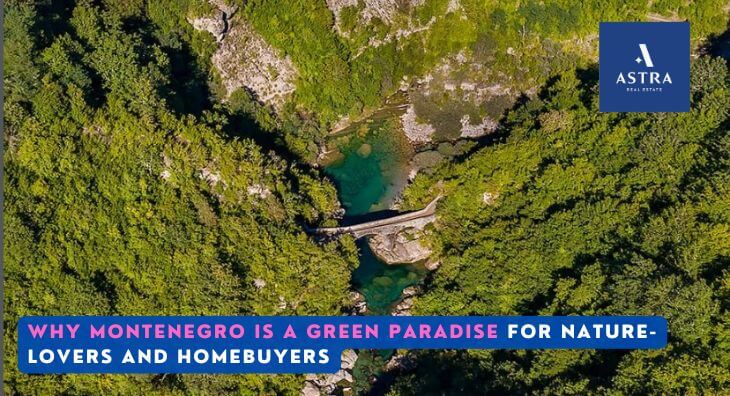 Montenegro Green Paradise for Nature-Lovers and Homebuyers astra real estate