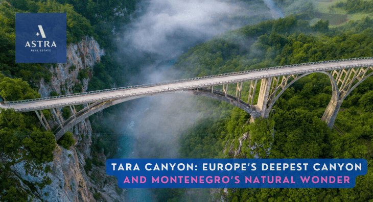 tara river canyon europe’s deepest canyon and montenegro’s natural wonder