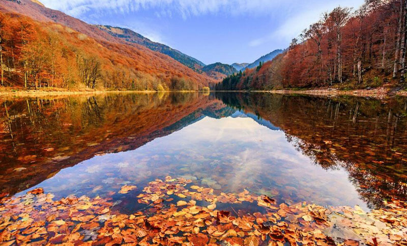 buy property in montenegro biogradsko lake in autumn astra real estate
