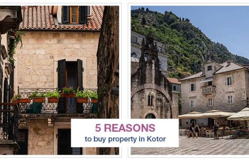 5 reason for buying property in kotor