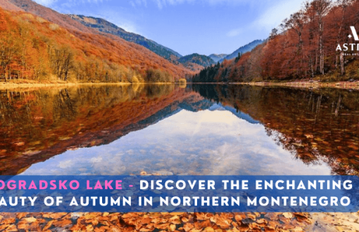 Picture of Biogradsko Lake Montenegro