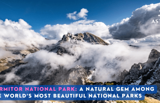 Durmitor National Park Why Montenegro is the Perfect Destination for Your Second Home