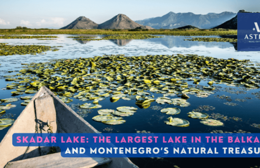 skadar lake montenegro astra real estate