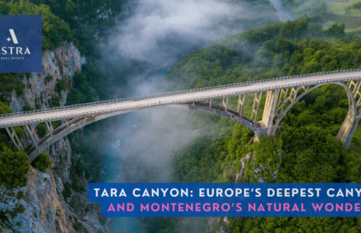 tara river canyon europe’s deepest canyon and montenegro’s natural wonder
